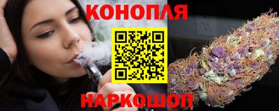 шишки Лесосибирск